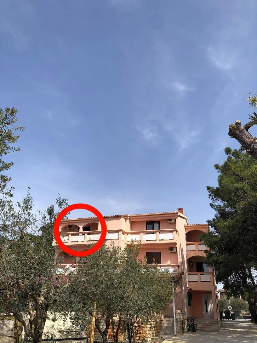 Villa Matea - Vir Εξωτερικό φωτογραφία